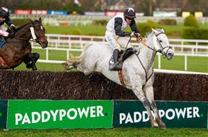 Brown Advisory Novices' Chase 2023 Tips - 16/1 and 33/1 tips for open Grade One at Cheltenham
