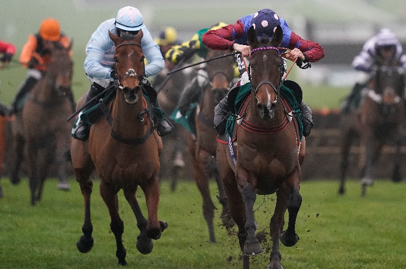 paisley park cheltenham
