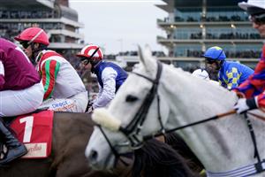 CHELTENHAM, ENGLAND - JANUARY 28: At the start for The Glenfarclas Cross Country Handicap Chase at Cheltenham Racecourse on January 28, 2023 in Cheltenham, England. (Photo by Alan Crowhurst/Getty Images)