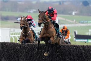CHELTENHAM, ENGLAND - JANUARY 28: Derek Fox riding Ahoy Senor (red) clear the last to win The Paddy Power Cotswold Chase at Cheltenham Racecourse on January 28, 2023 in Cheltenham, England. (Photo by Alan Crowhurst/Getty Images)