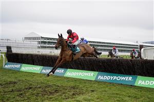 CHELTENHAM, ENGLAND - JANUARY 28: Derek Fox riding Ahoy Senor on their way to winning The Paddy Power Cotswold Chase at Cheltenham Racecourse on January 28, 2023 in Cheltenham, England. (Photo by Alan Crowhurst/Getty Images)