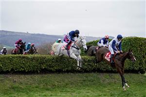 CHELTENHAM, ENGLAND - JANUARY 28: Runners clear the