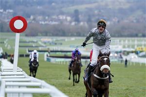 CHELTENHAM, ENGLAND - JANUARY 28: Johnny Charron riding Gold Tweet win The Dahlbury Stallions At Chapel Stud Cleeve Hurdle at Cheltenham Racecourse on January 28, 2023 in Cheltenham, England. (Photo by Alan Crowhurst/Getty Images)