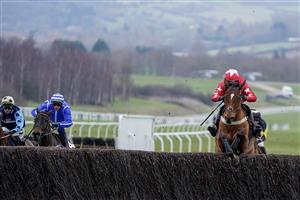 CHELTENHAM, ENGLAND - JANUARY 28: Niall Houlihan riding Editeur Du Gite (red) clear the last to win The Albert Bartlett Clarence House Chase at Cheltenham Racecourse on January 28, 2023 in Cheltenham, England. (Photo by Alan Crowhurst/Getty Images)