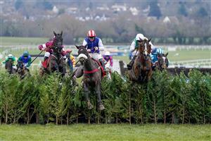 CHELTENHAM, ENGLAND - JANUARY 28: Sean Bowen riding Back On The Lash (red/white cap) clear the last to win The Glenfarclas Cross Country Handicap Chase at Cheltenham Racecourse on January 28, 2023 in Cheltenham, England. (Photo by Alan Crowhurst/Getty Images)