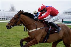 CHELTENHAM, ENGLAND - JANUARY 28: Niall Houlihan riding Editeur Du Gite (red) clear the last to win The Albert Bartlett Clarence House Chase at Cheltenham Racecourse on January 28, 2023 in Cheltenham, England. (Photo by Alan Crowhurst/Getty Images)