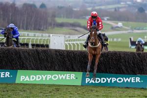 CHELTENHAM, ENGLAND - JANUARY 28: Niall Houlihan riding Editeur Du Gite (red) clear the last to win The Albert Bartlett Clarence House Chase at Cheltenham Racecourse on January 28, 2023 in Cheltenham, England. (Photo by Alan Crowhurst/Getty Images)