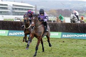 CHELTENHAM, ENGLAND - JANUARY 28: Harry Cobden riding Stage Star clear the last to win The Timeform Novices