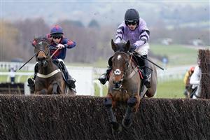 CHELTENHAM, ENGLAND - JANUARY 28: Harry Cobden riding Stage Star clear the last to win The Timeform Novices
