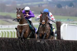 CHELTENHAM, ENGLAND - JANUARY 28: Harry Cobden riding Il Ridoto (R) clear the last to win The Paddy Power Cheltenham Countdown Podcast Handicap Chase at Cheltenham Racecourse on January 28, 2023 in Cheltenham, England. (Photo by Alan Crowhurst/Getty Images)