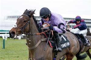 CHELTENHAM, ENGLAND - JANUARY 28: Harry Cobden riding Stage Star clear the last to win The Timeform Novices