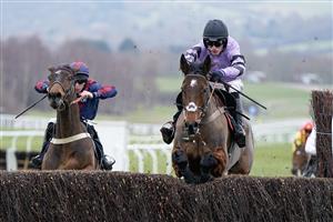 CHELTENHAM, ENGLAND - JANUARY 28: Harry Cobden riding Stage Star clear the last to win The Timeform Novices