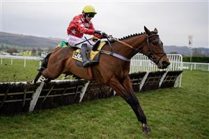 CHELTENHAM, ENGLAND - JANUARY 28: Paddy Brennan riding Scriptwriter clear the last only to be caught on the run-in by Comfort Zone at Cheltenham Racecourse on January 28, 2023 in Cheltenham, England. (Photo by Alan Crowhurst/Getty Images)