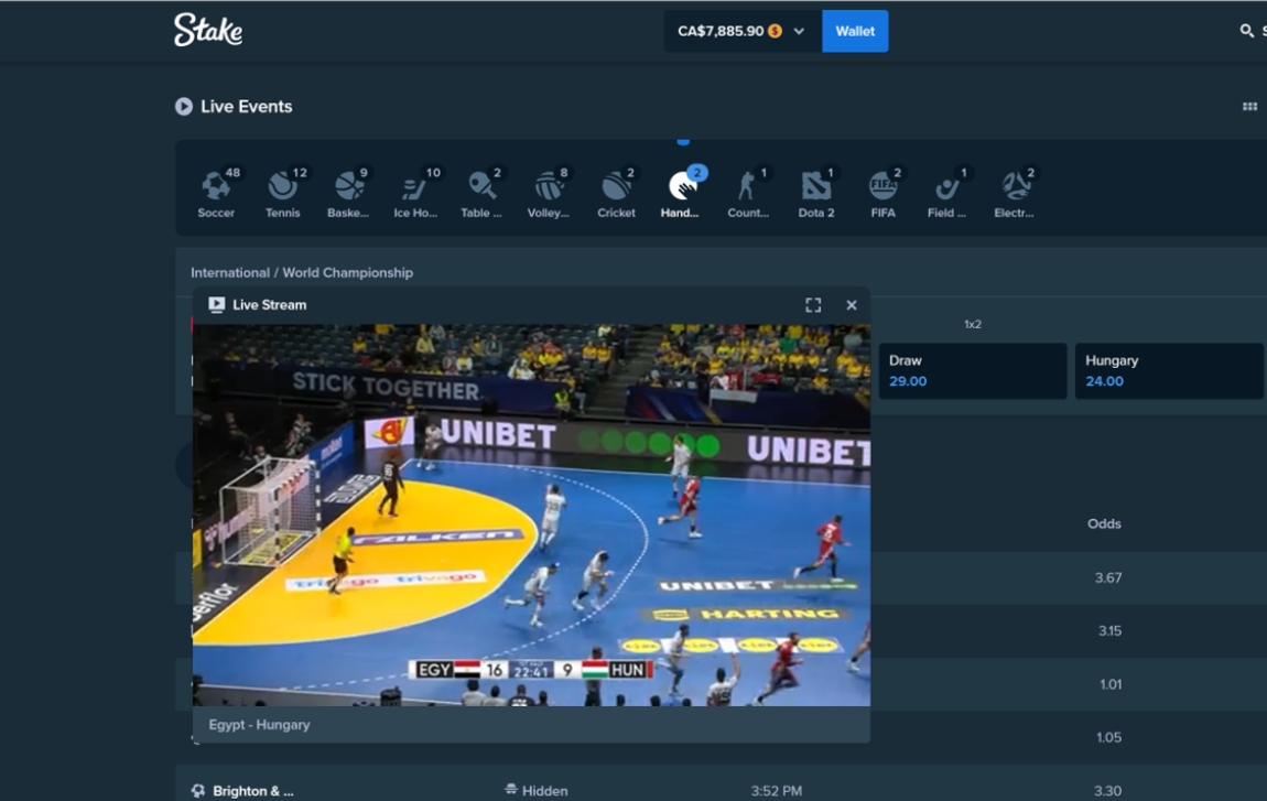 France v Denmark Handball Live Streaming World Championships Final now live