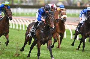 Oakleigh Plate Betting Odds - In-form sprinters head the betting