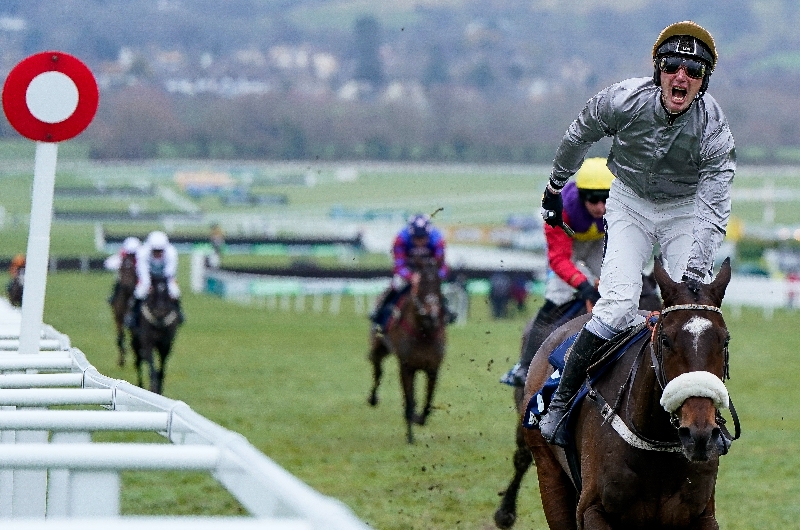 “He will run in March" - Gold Tweet set for Stayers' Hurdle run after shock Trials Day win
