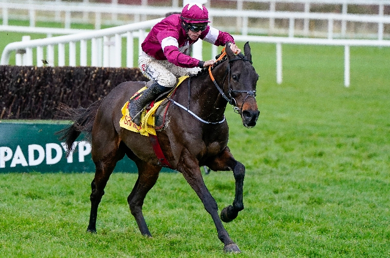 Ryanair Chase 2024 Tips - Pre-season guide and preview