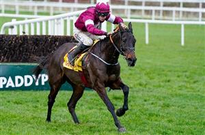 2023 Irish Gold Cup Tips - Bet without Galopin Des Champs at Leopardstown