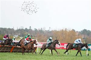 Leopardstown Tips - Dublin Racing Festival day one selections