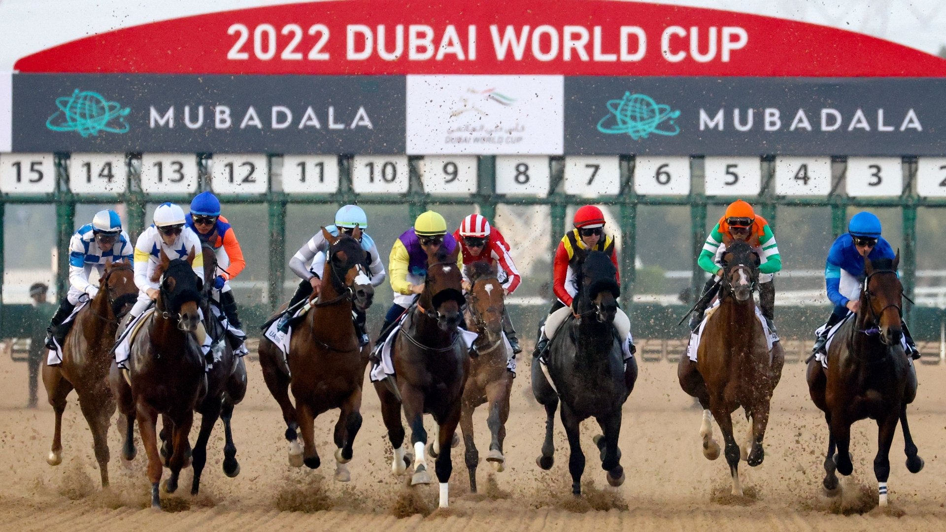 Meydan Tips Dubai World Cup Carnival Week 5 Tips February 3rd Meydan Tips Dubai World Cup Carnival Week 5 Tips February 3rd