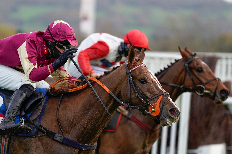 castle robin races