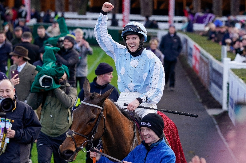 honeysuckle leopardstown