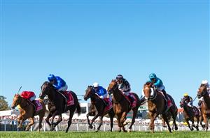 Caulfield Tips - Best & Value Bets for Caulfield Guineas Day on October 14