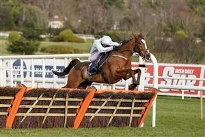 DUBLIN, IRELAND - FEBRUARY 04: Danny Mullins riding Gala Marceau clear the last to win The Donohue Marquees Spring Juvenile Hurdle from Lossiemouth at Leopardstown Racecourse on February 04, 2023 in Dublin, Ireland. (Photo by Alan Crowhurst/Getty Images)