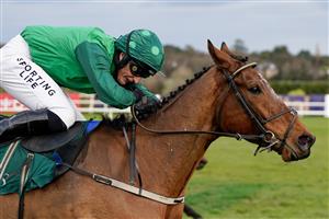 DUBLIN, IRELAND - FEBRUARY 04: Daryl Jacob riding El Fabiolo clear the last to win The Goffs Irish Arkle Novice Chase at Leopardstown Racecourse on February 04, 2023 in Dublin, Ireland. (Photo by Alan Crowhurst/Getty Images)