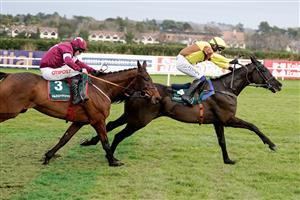 DUBLIN, IRELAND - FEBRUARY 04: Paul Townend riding Galopin Des Champs (R) clear the last to win The Paddy Power Irish Gold Cup at Leopardstown Racecourse on February 04, 2023 in Dublin, Ireland. (Photo by Alan Crowhurst/Getty Images)