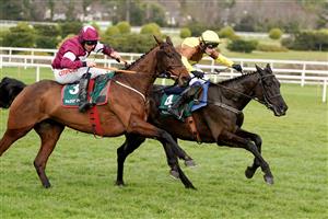 DUBLIN, IRELAND - FEBRUARY 04: Paul Townend riding Galopin Des Champs (R) clear the last to win The Paddy Power Irish Gold Cup at Leopardstown Racecourse on February 04, 2023 in Dublin, Ireland. (Photo by Alan Crowhurst/Getty Images)