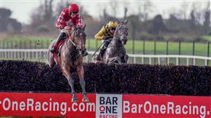 2023 Turners' Novices' Chase Odds and Entries - Mighty Potter the firm favourite