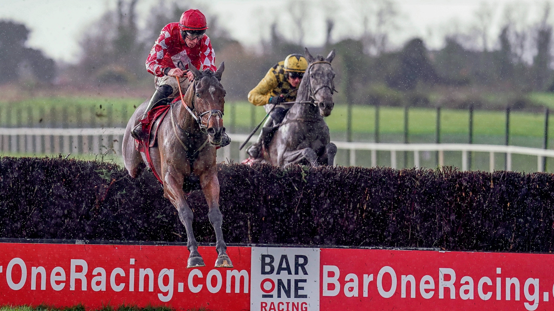 Turners' Novices' Chase Odds and Entries