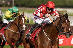 DUBLIN, IRELAND - FEBRUARY 05: Davy Russell riding Mighty Potter clear the last to win The Ladbrokes Novice Chase at Leopardstown Racecourse on February 05, 2023 in Dublin, Ireland. (Photo by Alan Crowhurst/Getty Images)