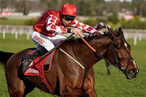 DUBLIN, IRELAND - FEBRUARY 05: Davy Russell riding Mighty Potter clear the last to win The Ladbrokes Novice Chase at Leopardstown Racecourse on February 05, 2023 in Dublin, Ireland. (Photo by Alan Crowhurst/Getty Images)