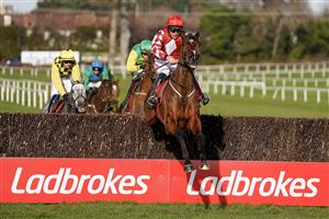 DUBLIN, IRELAND - FEBRUARY 05: Davy Russell riding Mighty Potter clear the last to win The Ladbrokes Novice Chase at Leopardstown Racecourse on February 05, 2023 in Dublin, Ireland. (Photo by Alan Crowhurst/Getty Images)