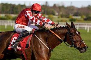 DUBLIN, IRELAND - FEBRUARY 05: Davy Russell riding Mighty Potter clear the last to win The Ladbrokes Novice Chase at Leopardstown Racecourse on February 05, 2023 in Dublin, Ireland. (Photo by Alan Crowhurst/Getty Images)
