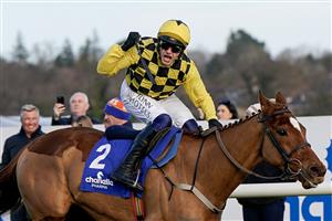 DUBLIN, IRELAND - FEBRUARY 05: Paul Townend riding State Man win The Chanelle Pharma Irish Champion Hurdle at Leopardstown Racecourse on February 05, 2023 in Dublin, Ireland. (Photo by Alan Crowhurst/Getty Images)