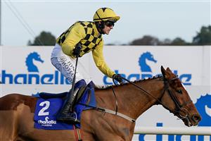 DUBLIN, IRELAND - FEBRUARY 05: Paul Townend riding State Man win The Chanelle Pharma Irish Champion Hurdle at Leopardstown Racecourse on February 05, 2023 in Dublin, Ireland. (Photo by Alan Crowhurst/Getty Images)
