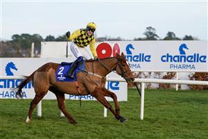 DUBLIN, IRELAND - FEBRUARY 05: Paul Townend riding State Man win The Chanelle Pharma Irish Champion Hurdle at Leopardstown Racecourse on February 05, 2023 in Dublin, Ireland. (Photo by Alan Crowhurst/Getty Images)