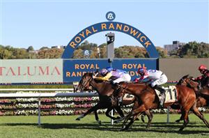 Randwick Betting Tips for February 11, 2023 - Race-By-Race preview for Apollo Stakes day