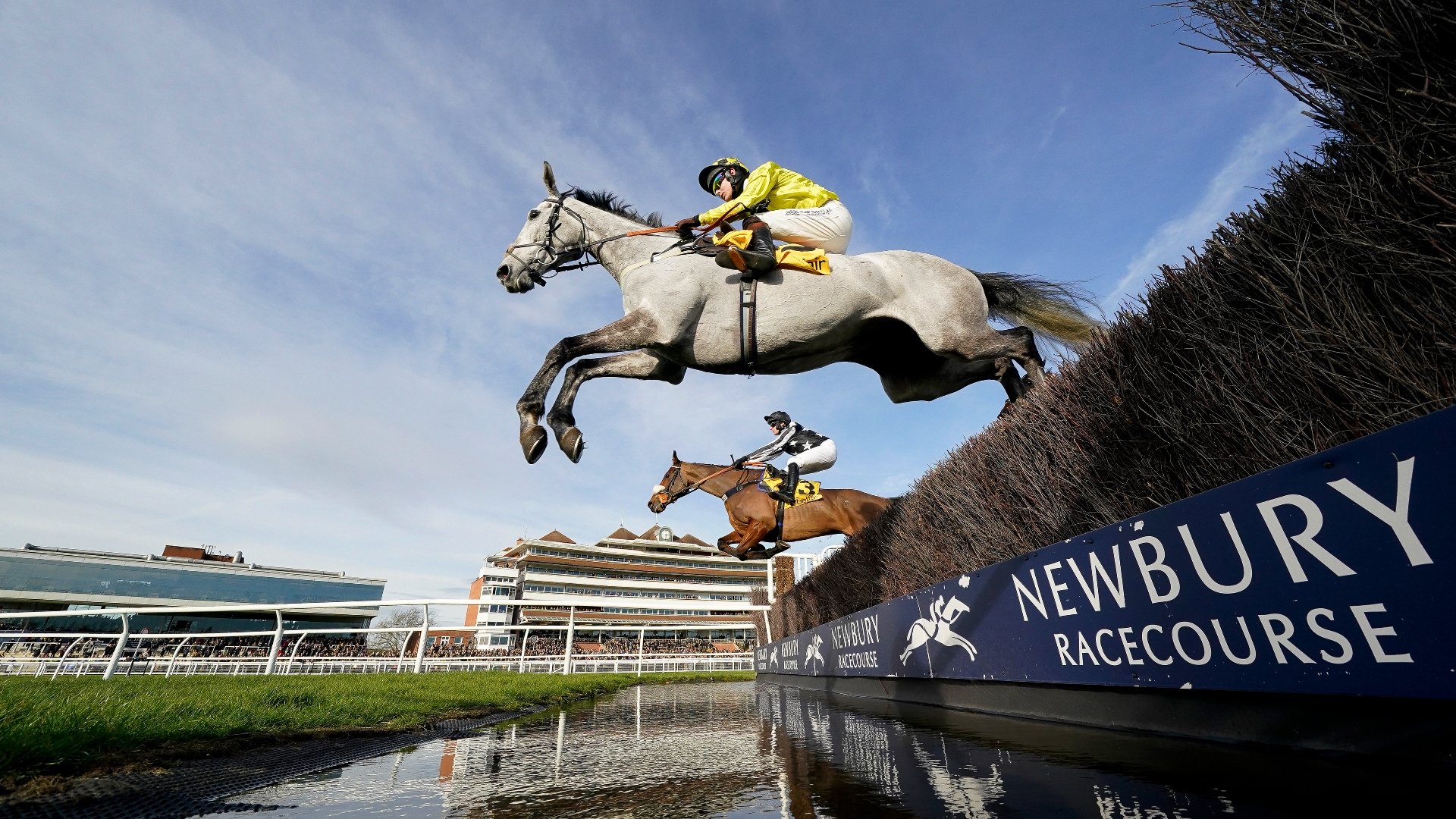 Denman Chase Odds and Entries