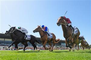 CF Orr Stakes Barrier Draw & Final Field