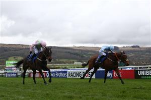 Mares' Hurdle Live Stream - Watch the Cheltenham race online