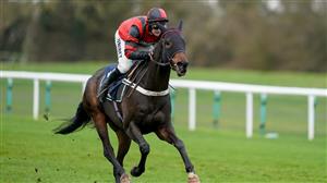 Turners' Novices' Chase 2023 Tips - Sandown runner-up overpriced in Cheltenham betting