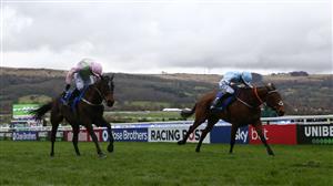 2023 Mares' Hurdle Odds and Entries - Honeysuckle favourite to bow out with a win