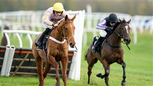 2023 Mares' Novices' Hurdle Odds and Entries - Luccia heads the Irish in Grade Two betting
