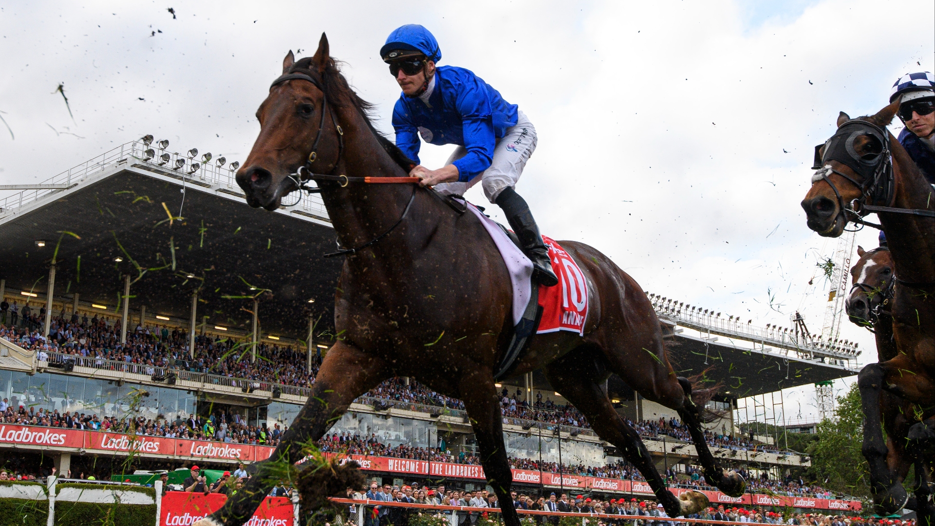 Apollo Stakes Tips, Betting Previews and Best Bets for the 2023 Apollo