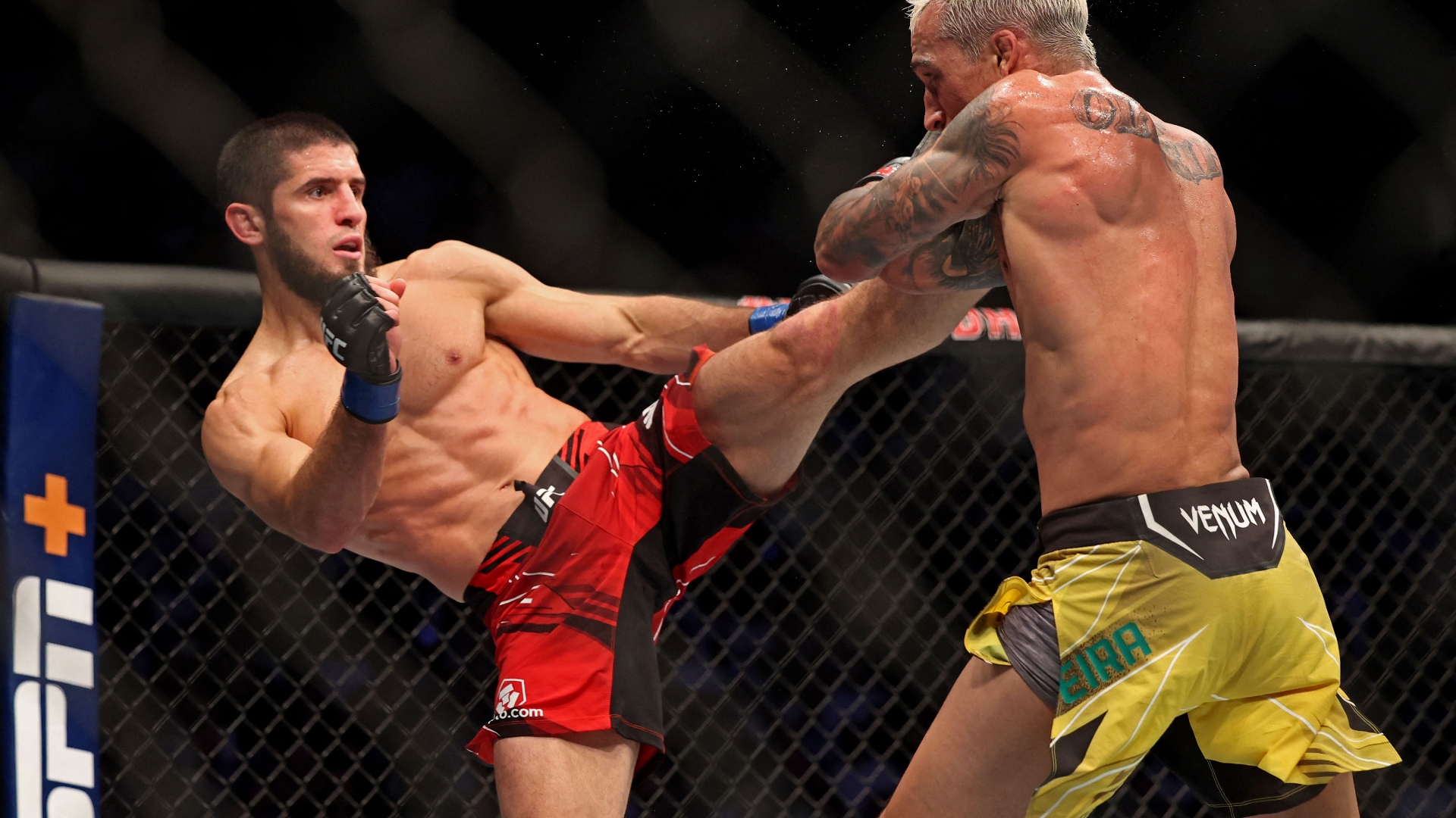 UFC 284 PPV Stream Available Free Online