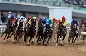Meydan Tips - Dubai World Cup Carnival Week 6 Predictions on February 10th